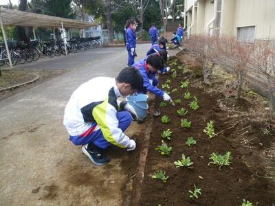 花壇や畑の整備