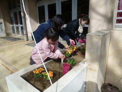 学校に彩りが