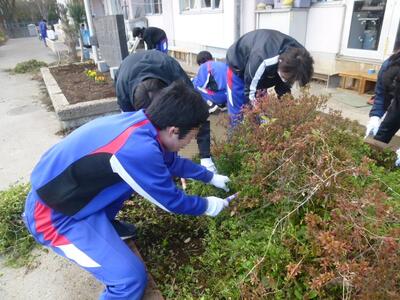 花壇の除草